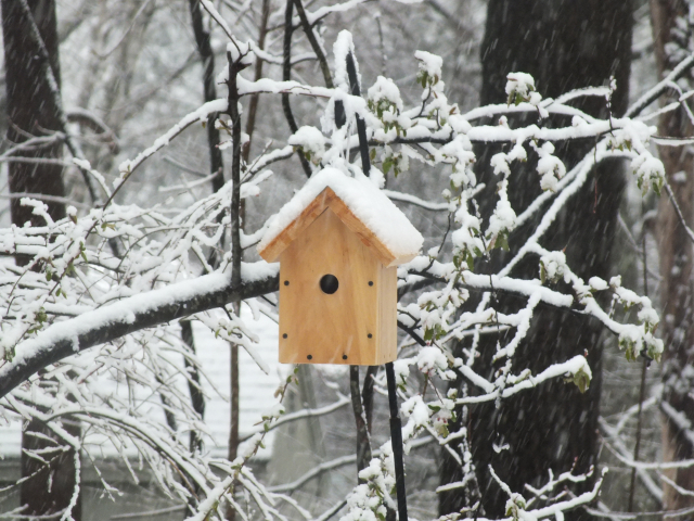 Festive snow on house