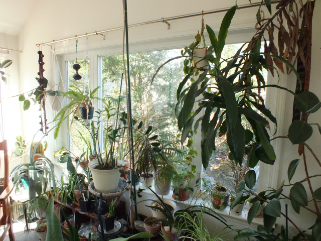 Plant Room