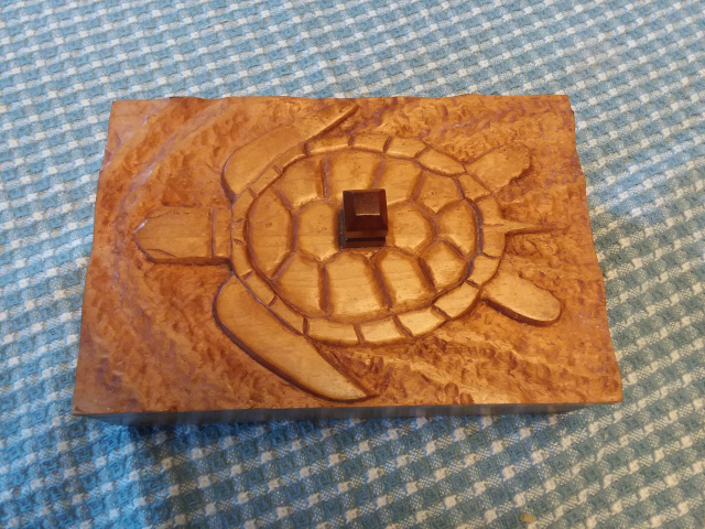 Turtle lid