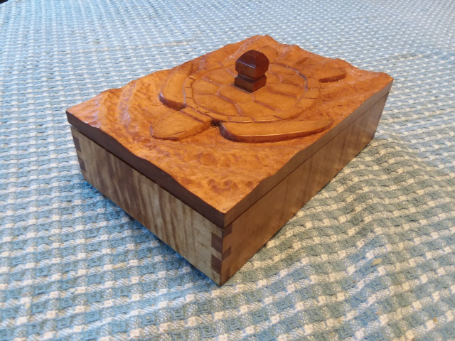 Box with turtle lid